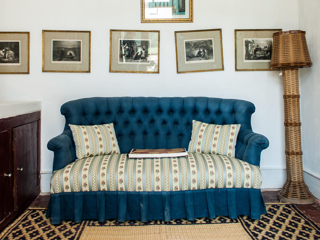 Villa Uva Do Monte - Blueberry Farm Comporta Habitación foto