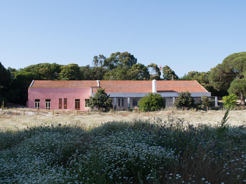 Villa Uva Do Monte - Blueberry Farm Comporta Exterior foto