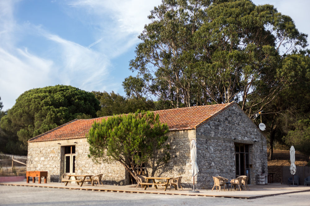 Villa Uva Do Monte - Blueberry Farm Comporta Exterior foto